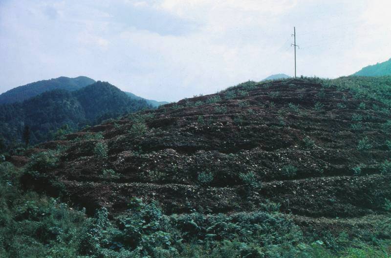 Yangmeiting waste mountain